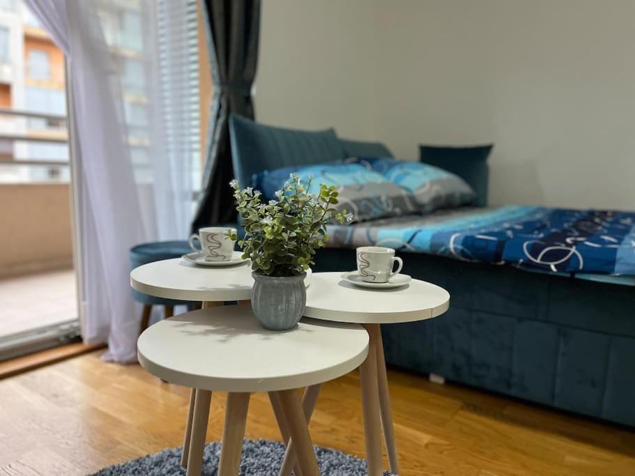 Lovely Apartment With The Parking Place Podgorica Buitenkant foto