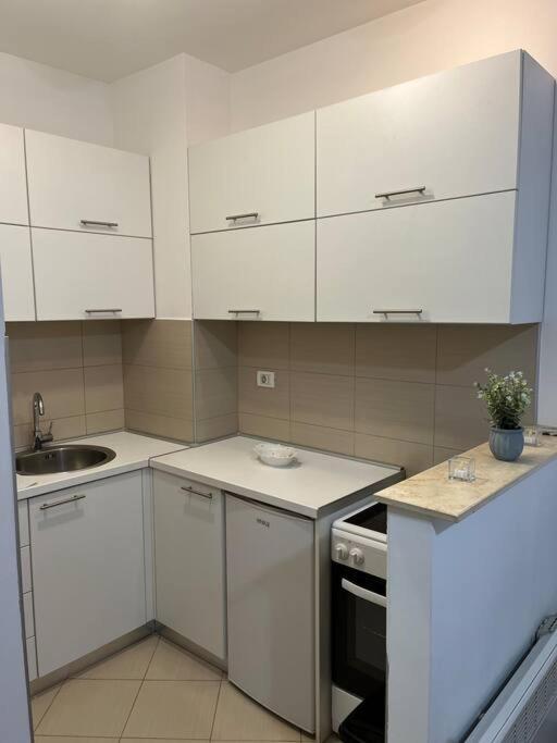 Lovely Apartment With The Parking Place Podgorica Buitenkant foto